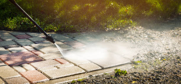 Solar Panel Cleaning in Westwood Shores, TX